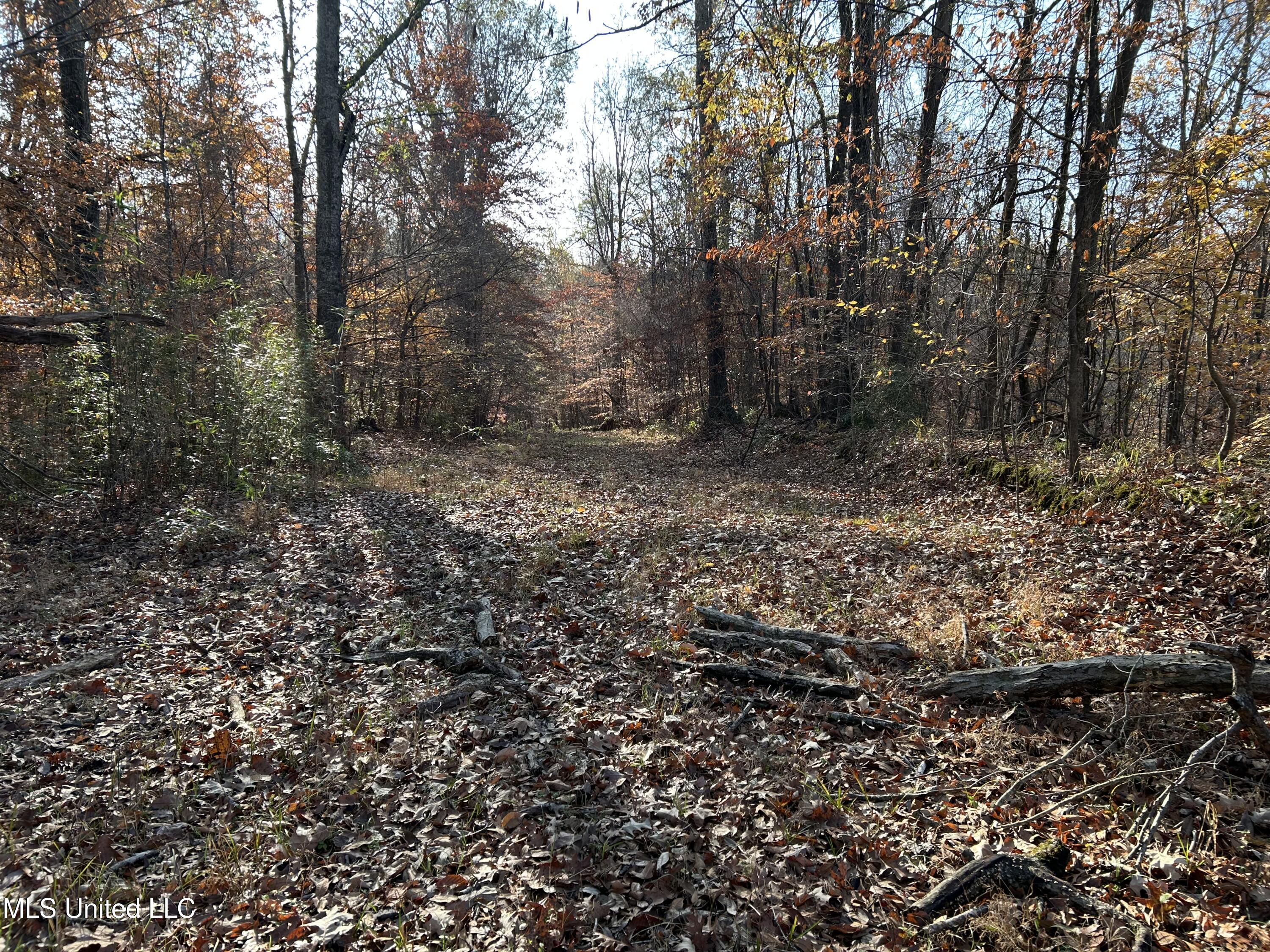 Henderson Road Bentonia, MS 39040 - Photo 5 of 56 Photo Dec 12 2025, 9 20 03 AM