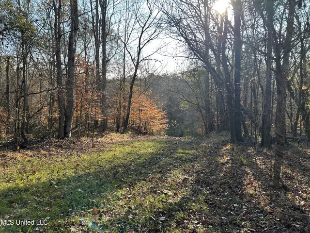 $266,000 | Henderson Road, Bentonia, MS 39040