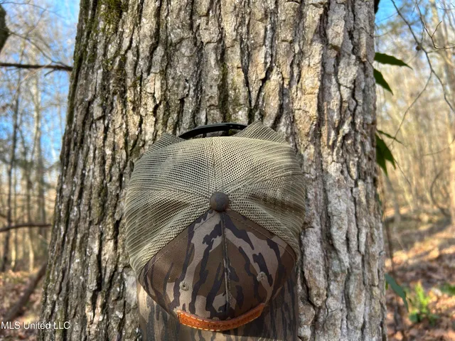 $266,000 | Henderson Road, Bentonia, MS 39040