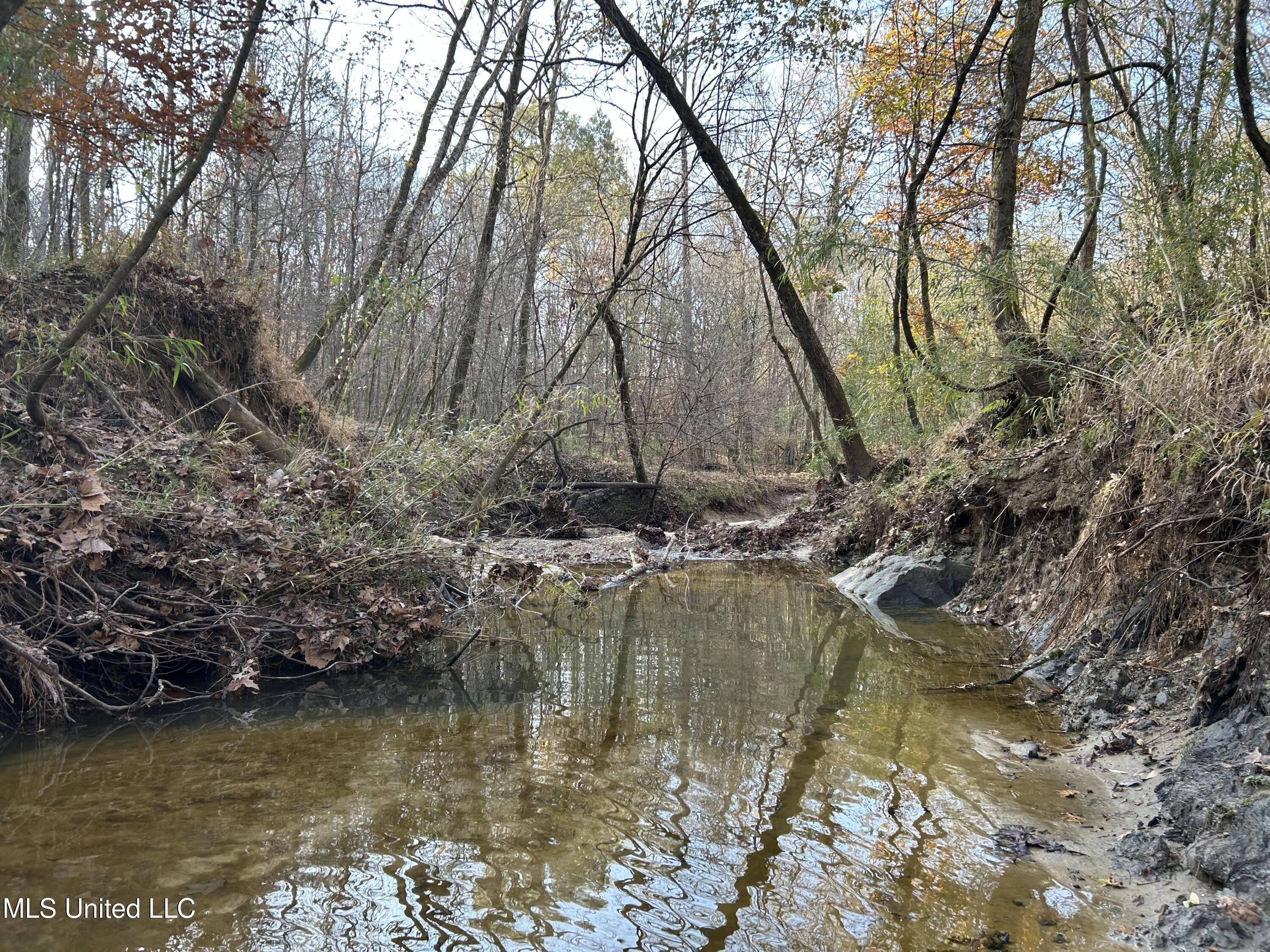 Henderson Road Bentonia, MS 39040 - Photo 10 of 56 Photo Dec 12 2025, 9 22 43 AM