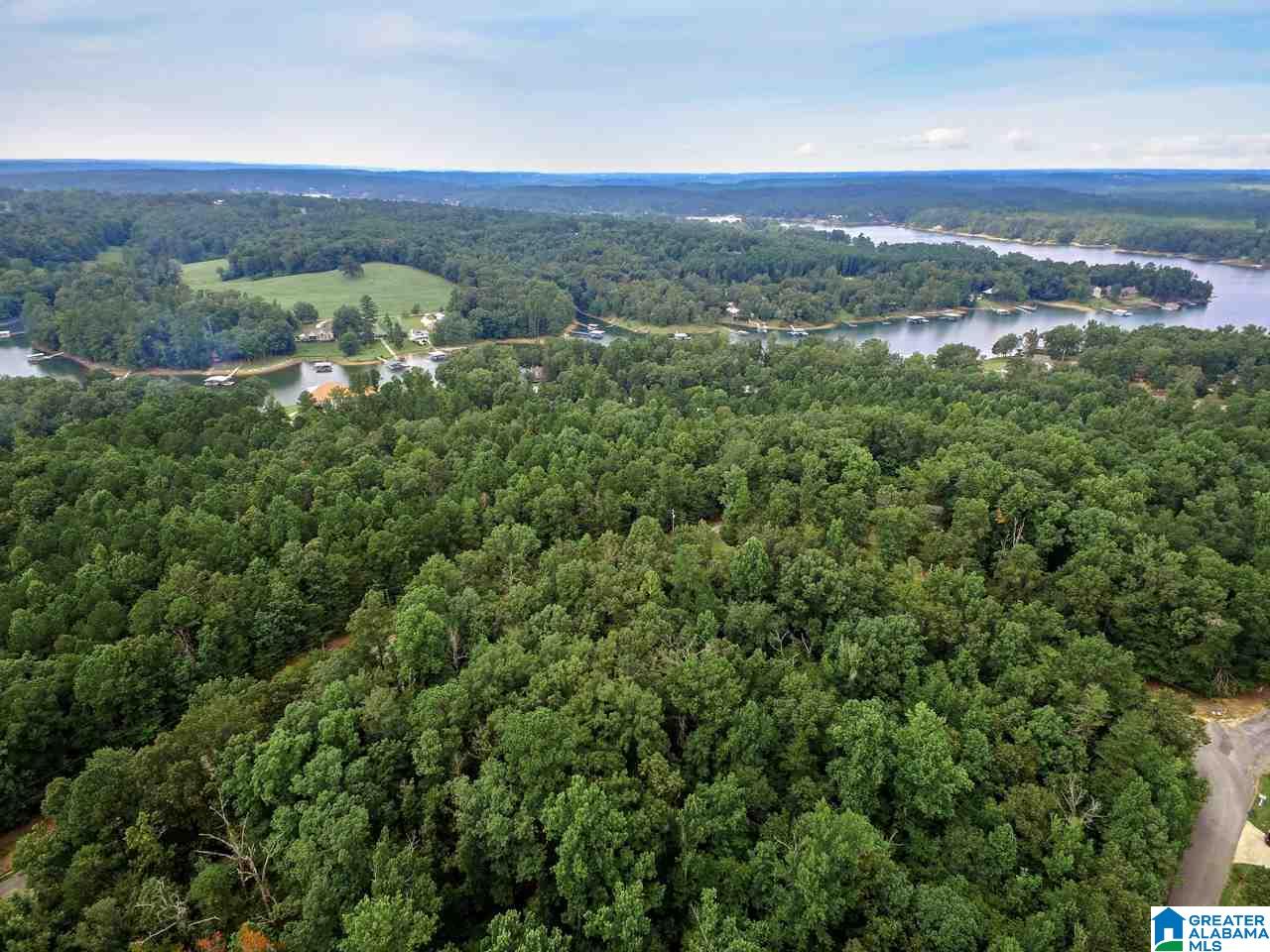 0 Harbor Light Trail, Unit 1 Jasper, AL 35504 - Photo 2 of 22