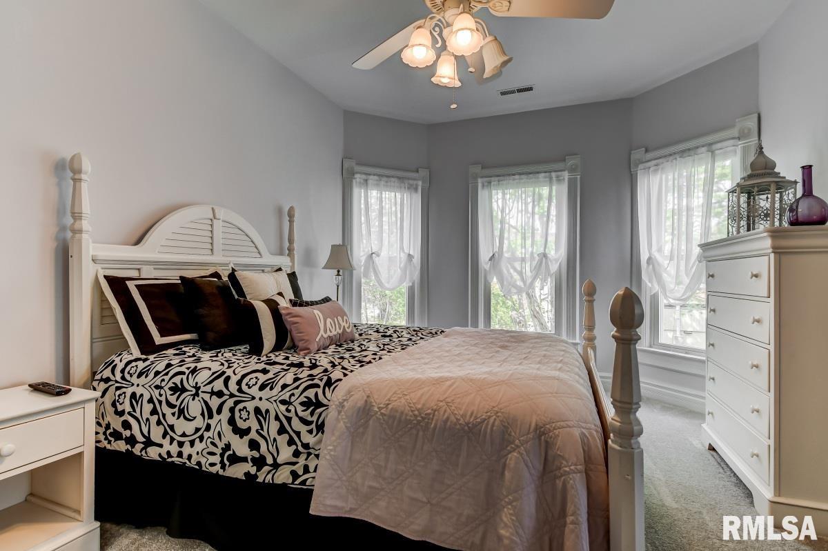 209 East Main Street Rochester, IL 62563 - Photo 20 of 47