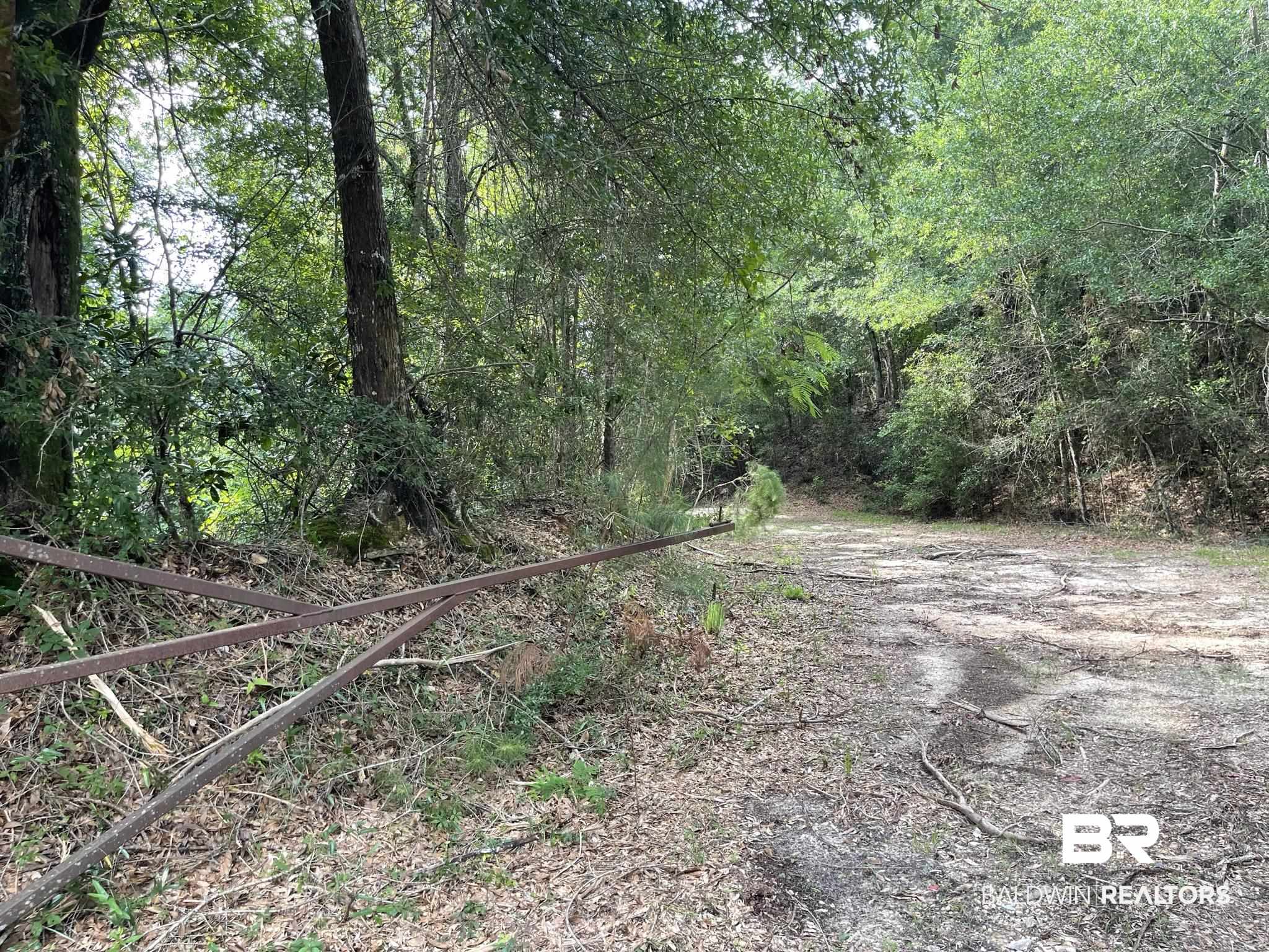 1 Highway 4 Jay, FL 32565 - Photo 38 of 50