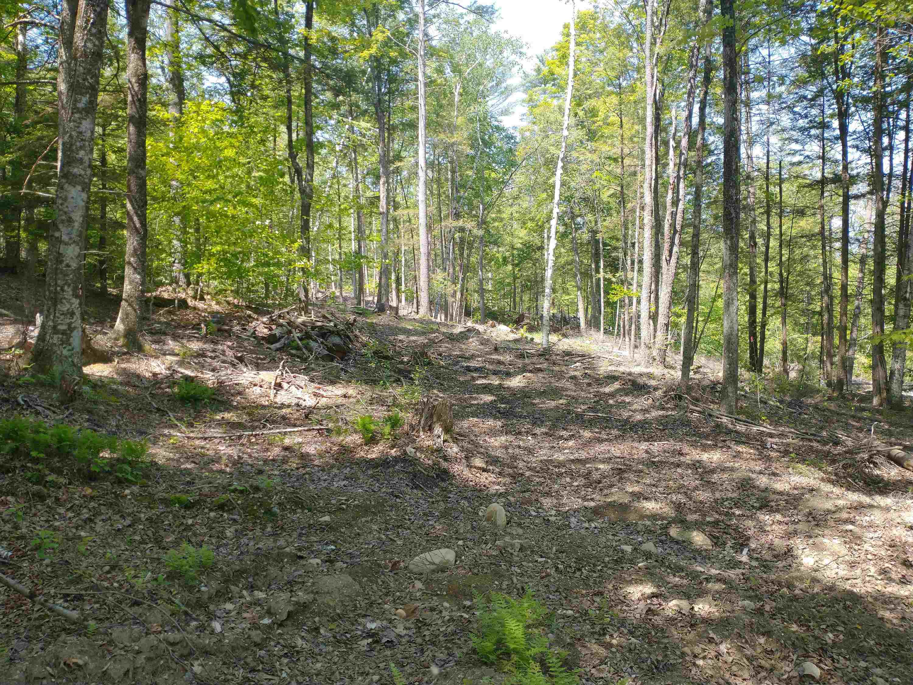 280 Davidson Hill Road Westminster, VT 05158 - Photo 11 of 15
