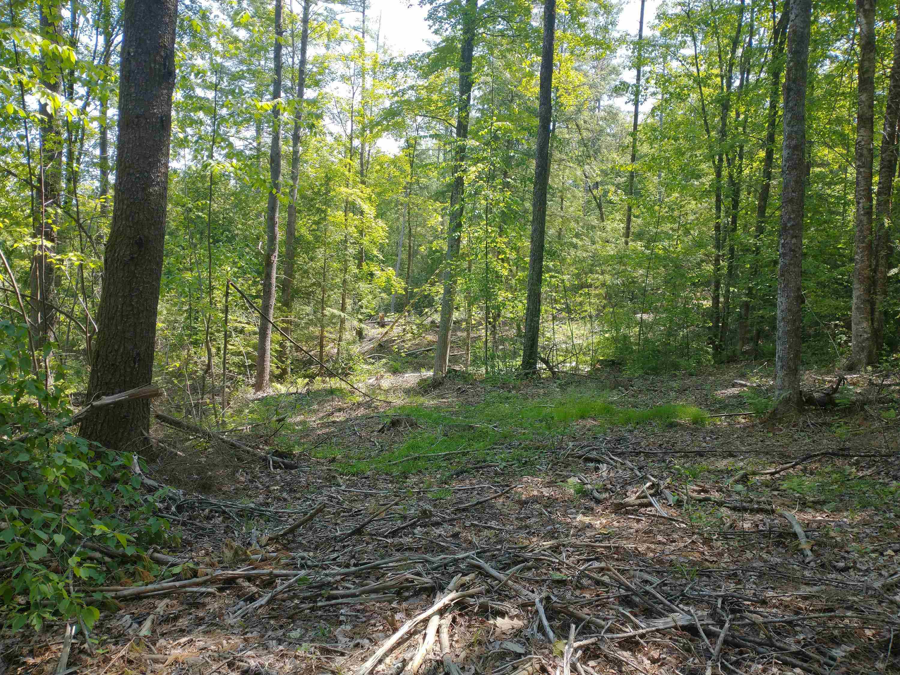 280 Davidson Hill Road Westminster, VT 05158 - Photo 13 of 15