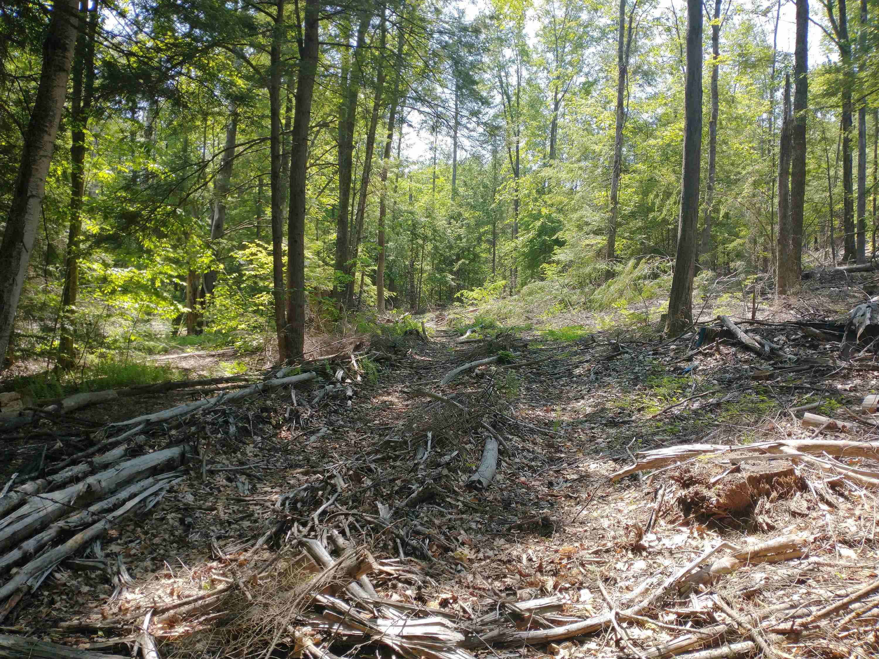 280 Davidson Hill Road Westminster, VT 05158 - Photo 14 of 15