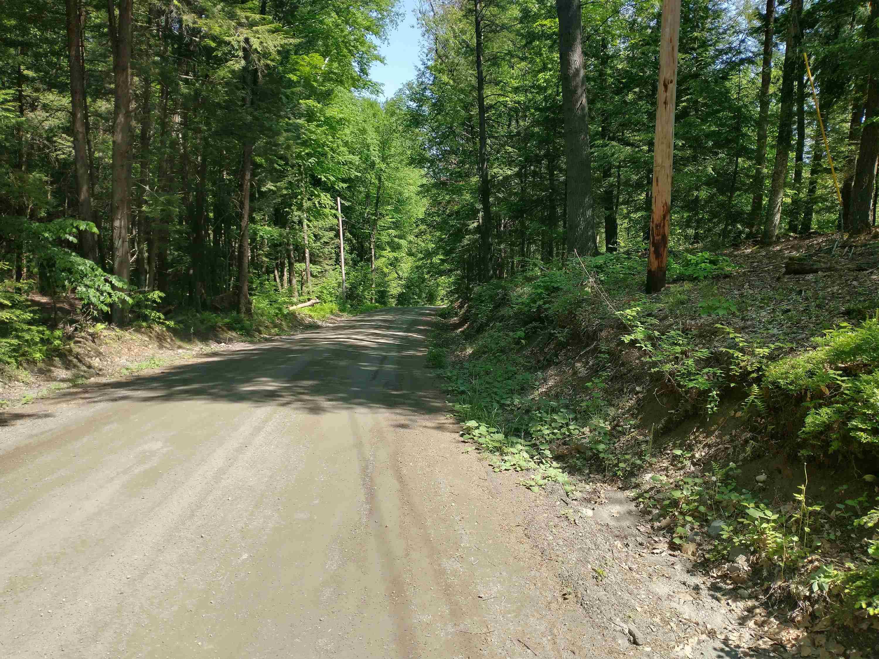 280 Davidson Hill Road Westminster, VT 05158 - Photo 3 of 15