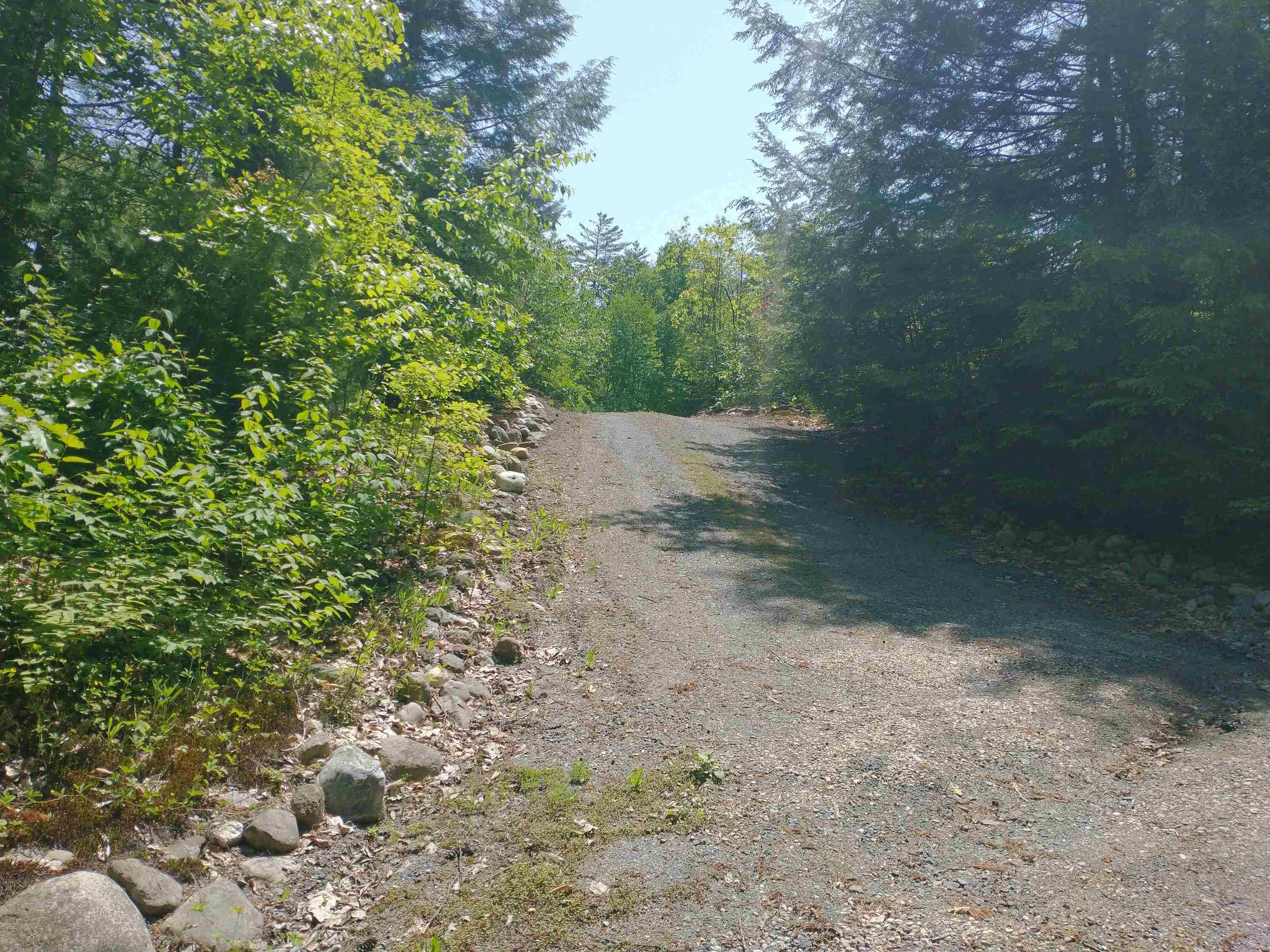 280 Davidson Hill Road Westminster, VT 05158 - Photo 4 of 15