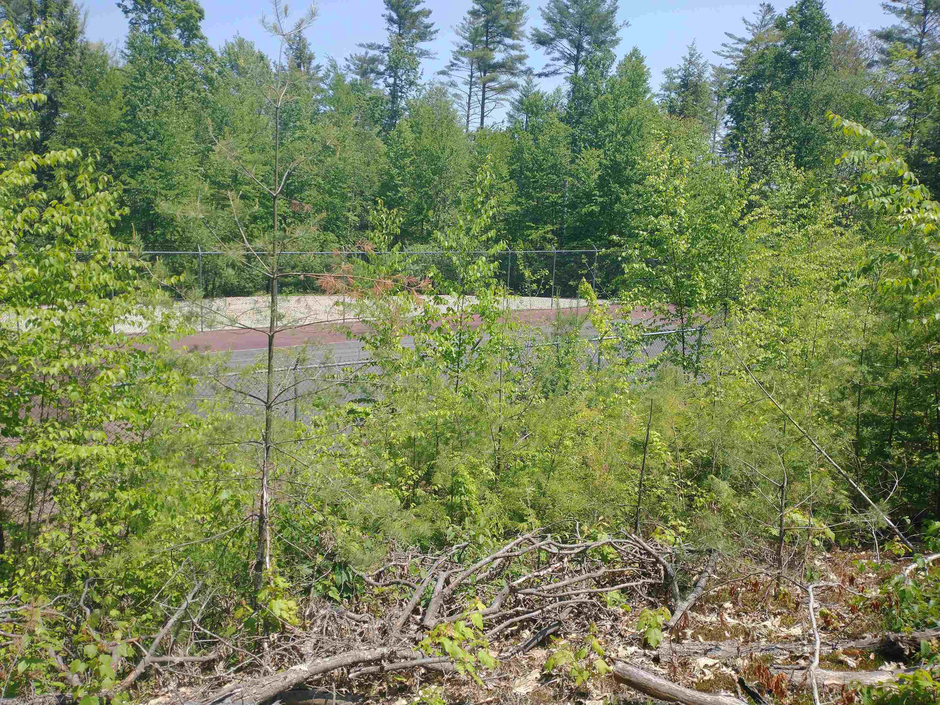 280 Davidson Hill Road Westminster, VT 05158 - Photo 7 of 15