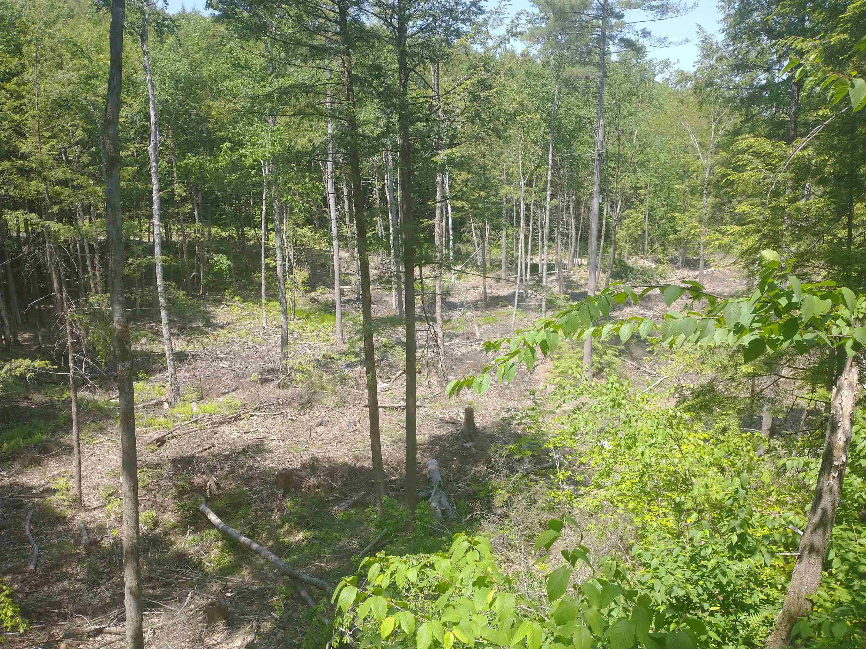 280 Davidson Hill Road Westminster, VT 05158 - Photo 9 of 15