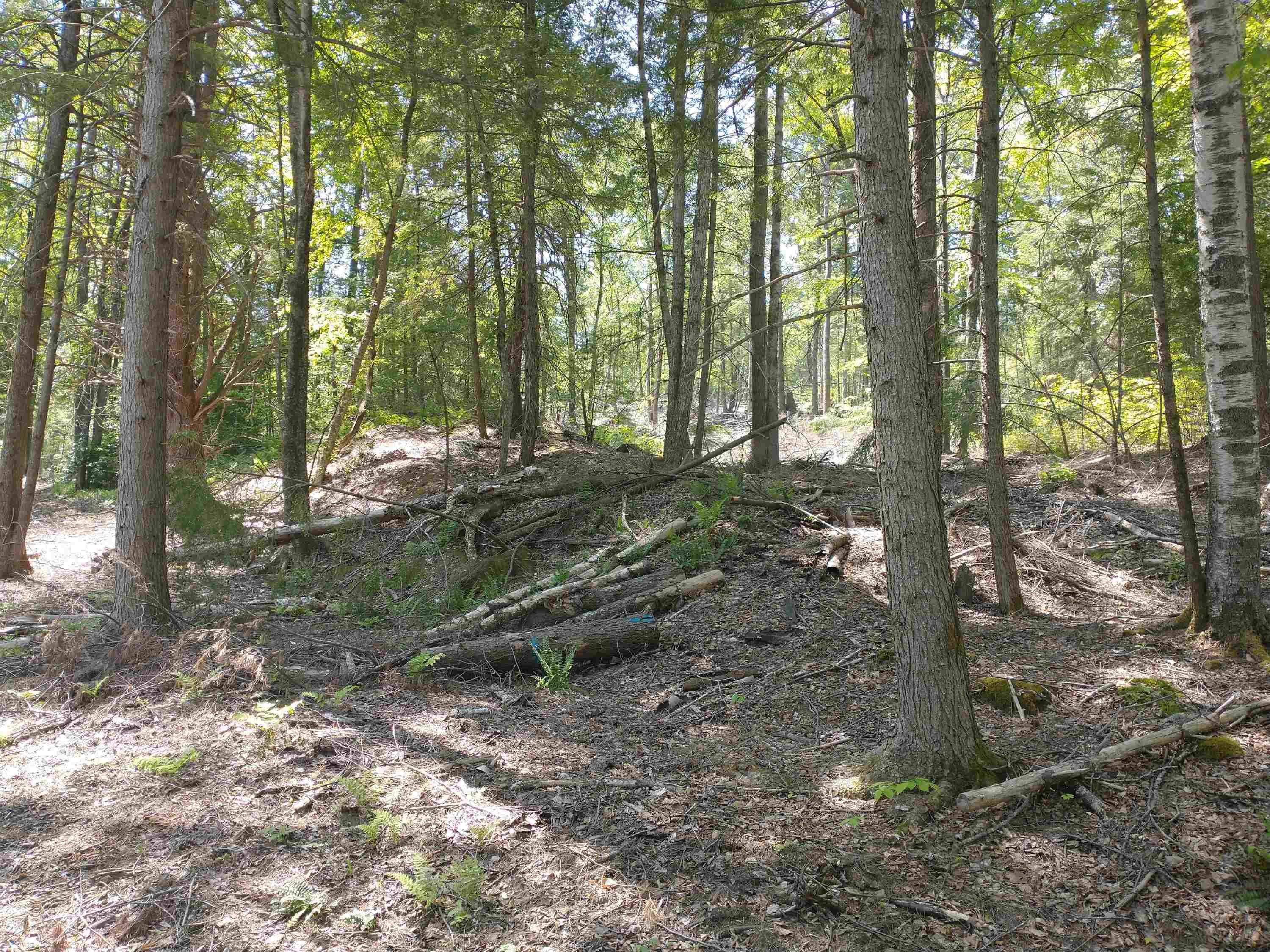 280 Davidson Hill Road Westminster, VT 05158 - Photo 10 of 15