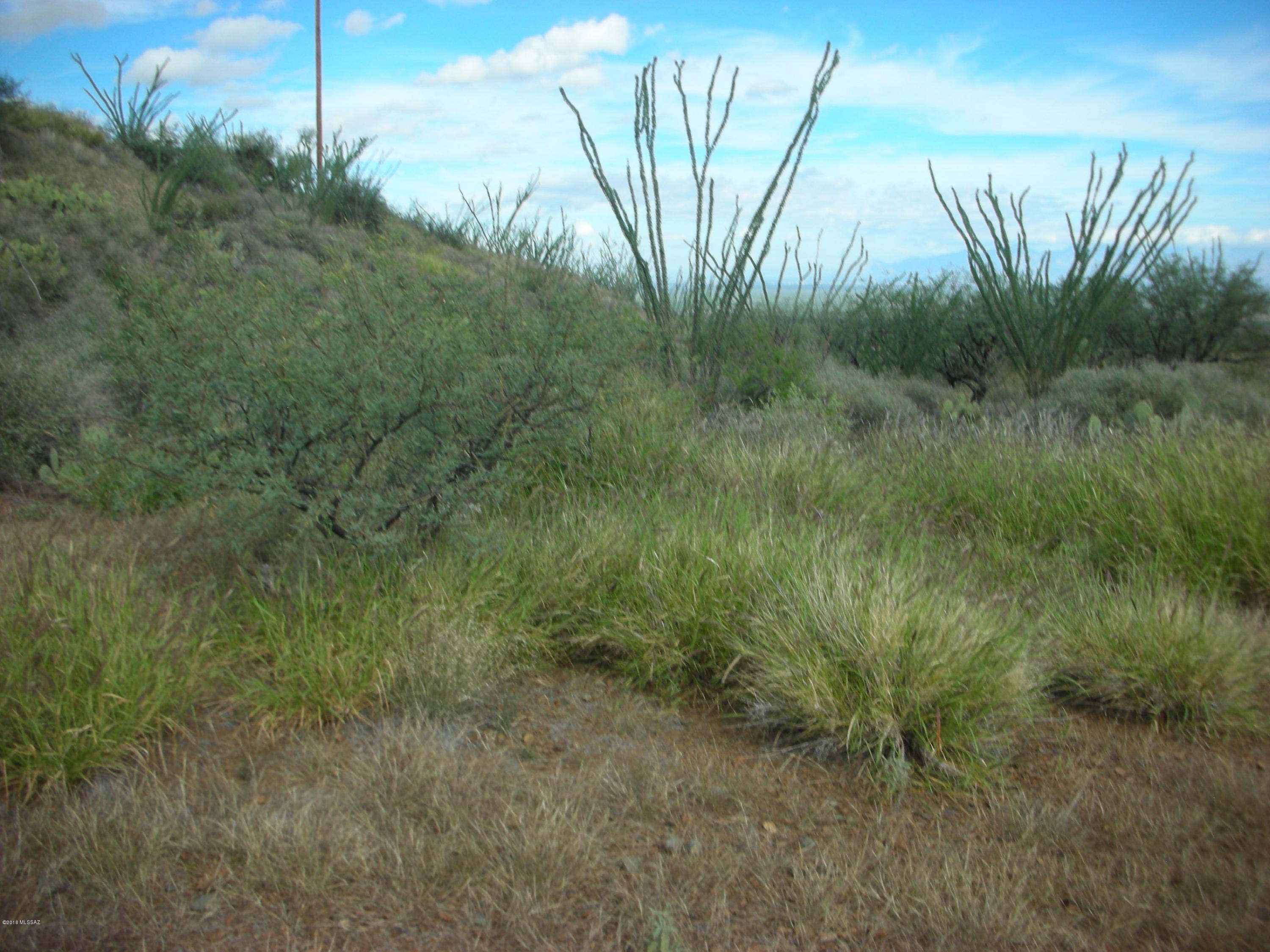 10600 East Ocotillo Rim Trail Vail, AZ 85641 - Photo 21 of 24 Gallery Image 21