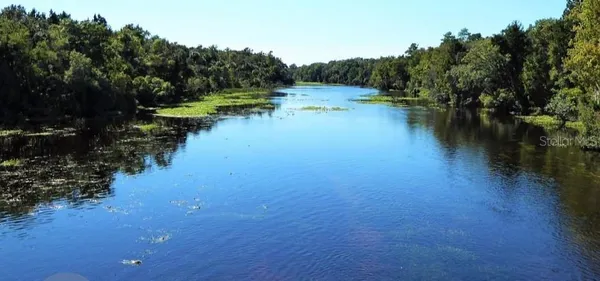 a view of forest