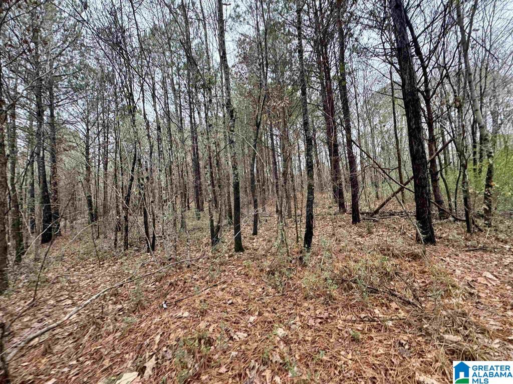 8260 Kermit Jhonson Road, Unit 2 Pinson, AL 35126 - Photo 3 of 3