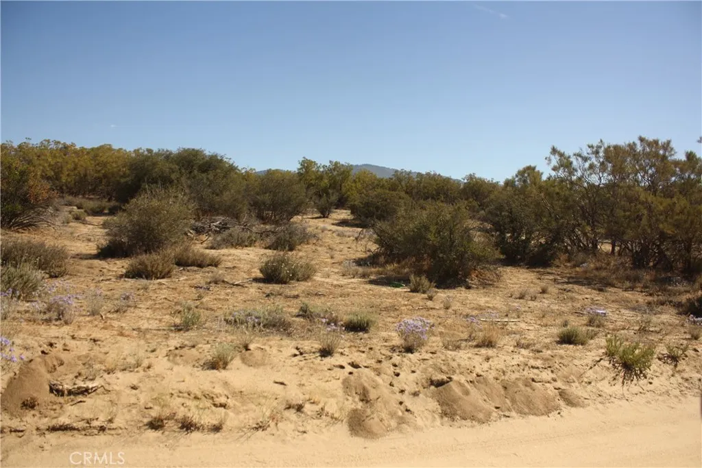 0 Pony Anza, CA 92539 - Photo 13 of 23