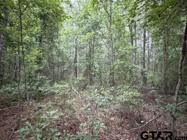 0 County Road 1204 Rusk, TX 75785 - Photo 32 of 32