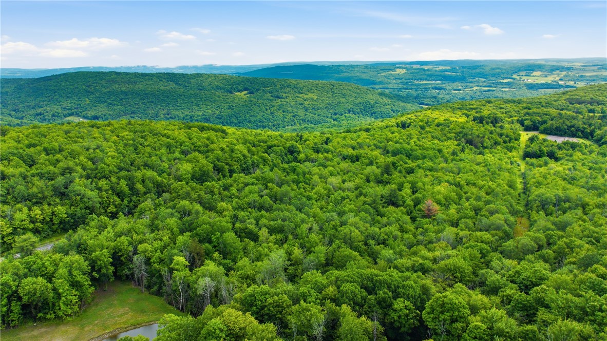 Dunn Road Pine Valley, NY 14872 - Photo 9 of 14
