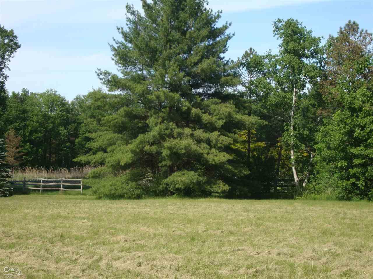6536 Rynn Road North Street, MI 48049 - Photo 6 of 10