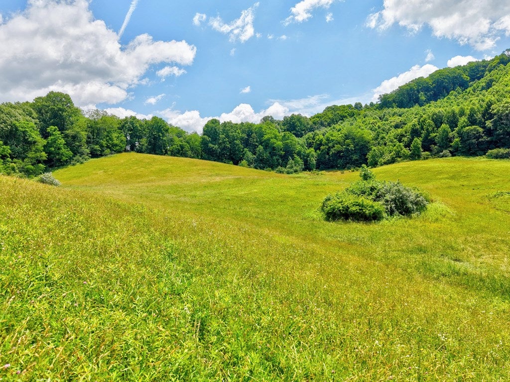 Tbd Goodpasture Hollow Road Marion, VA 24354 - Photo 13 of 38 Gallery Image 13