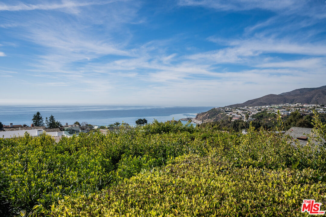 245 Tranquillo Road Pacific Palisades, CA 90272 - Photo 32 of 45 view of a bunch of trees