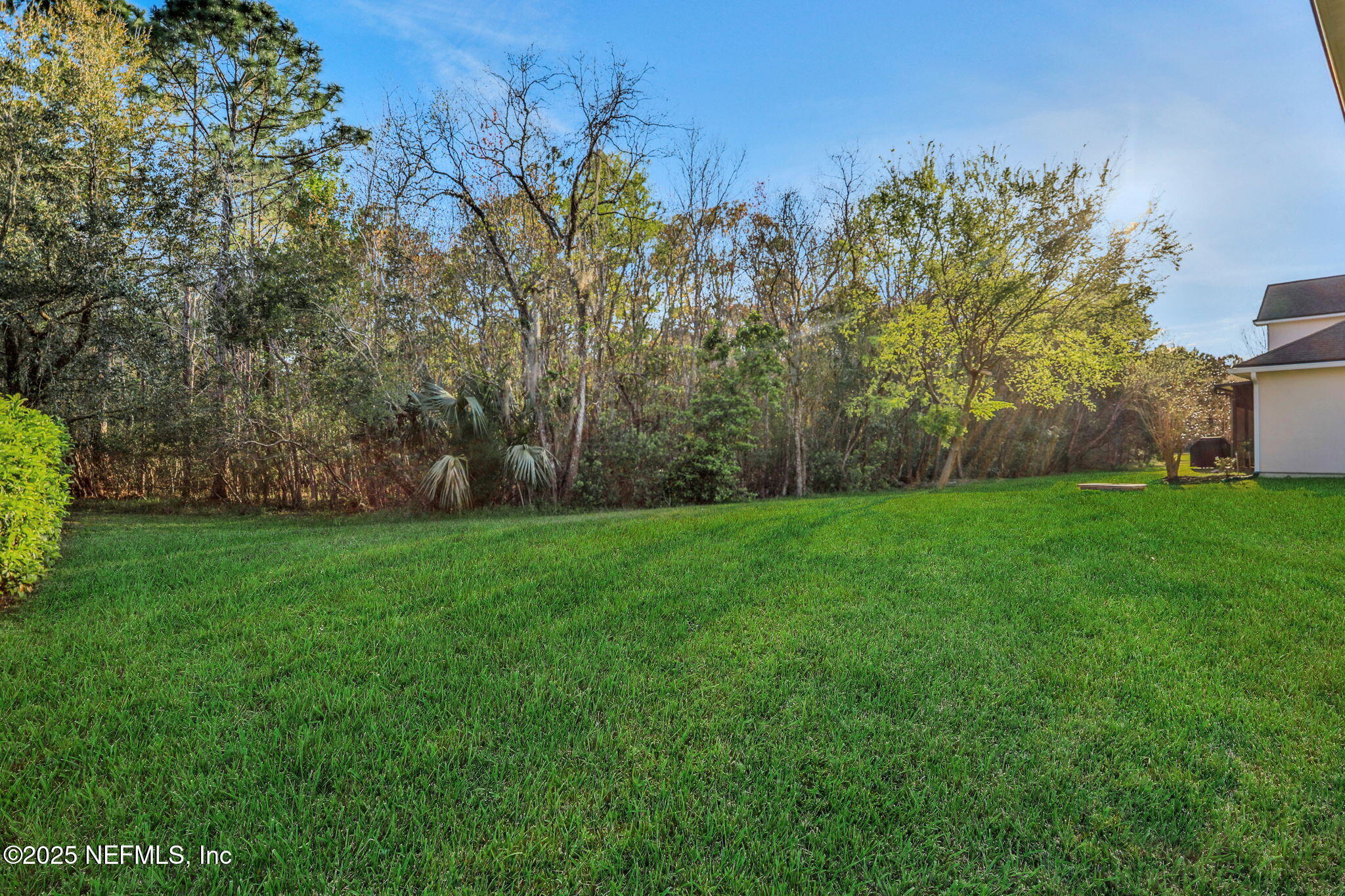 119 Duck Pond Drive St. Augustine, FL 32086 - Photo 46 of 56 a view of a yard with a tree