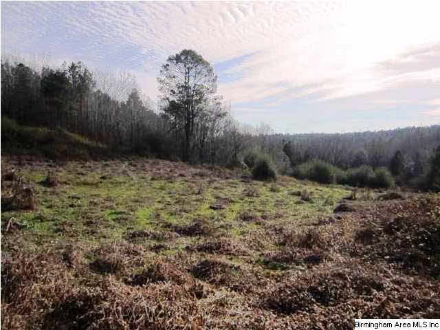 Blakes Ferry Road, Unit 80 Lineville, AL 36266 - Photo 3 of 8