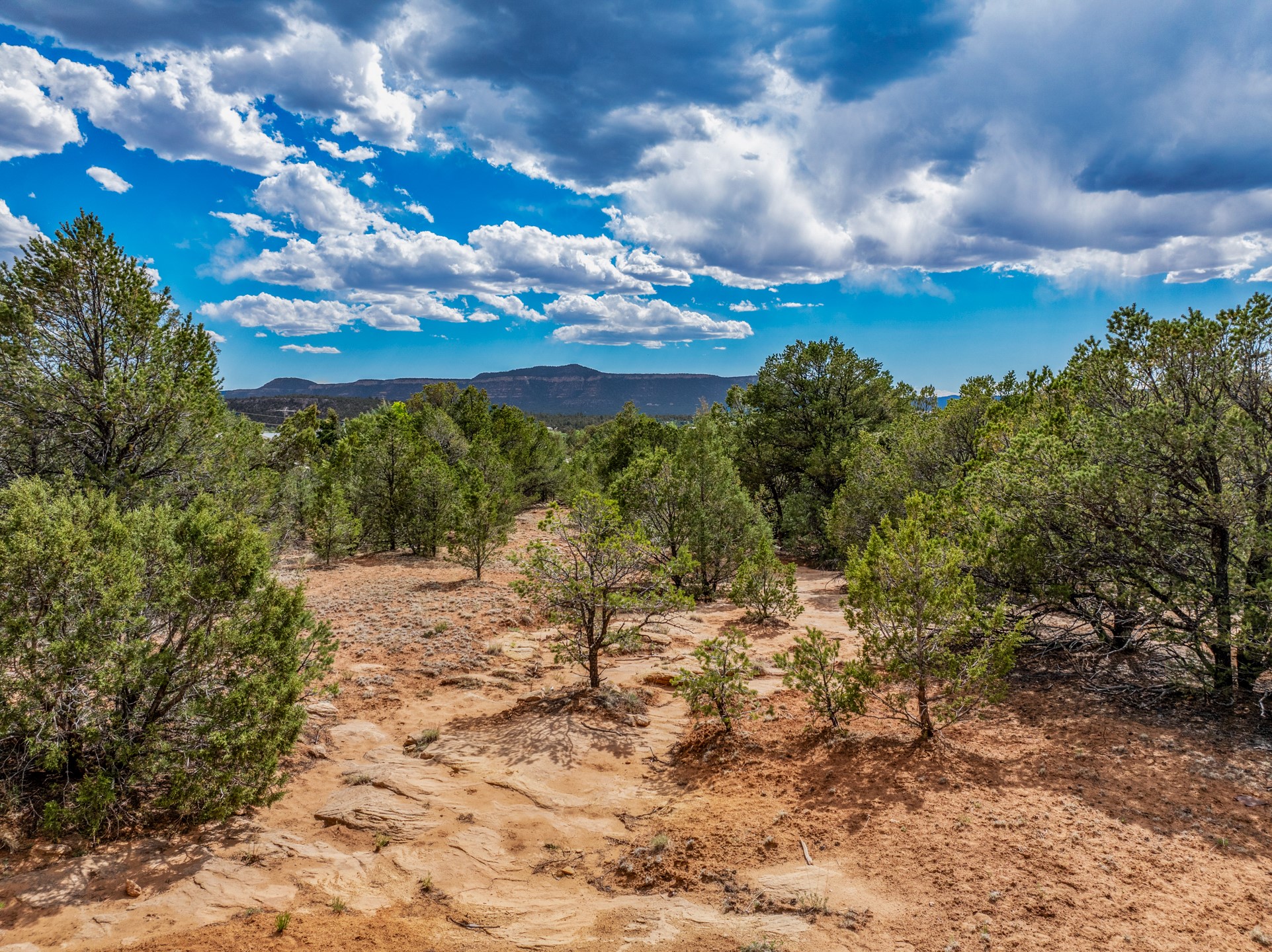 2.38-acres Old Colonias Road Pecos, NM 87552 - Photo 17 of 25