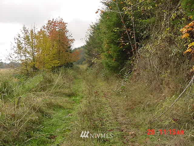 -xxx McElfresh Road Southwest Centralia, WA 98531 - Photo 1 of 1 Gallery Image 1