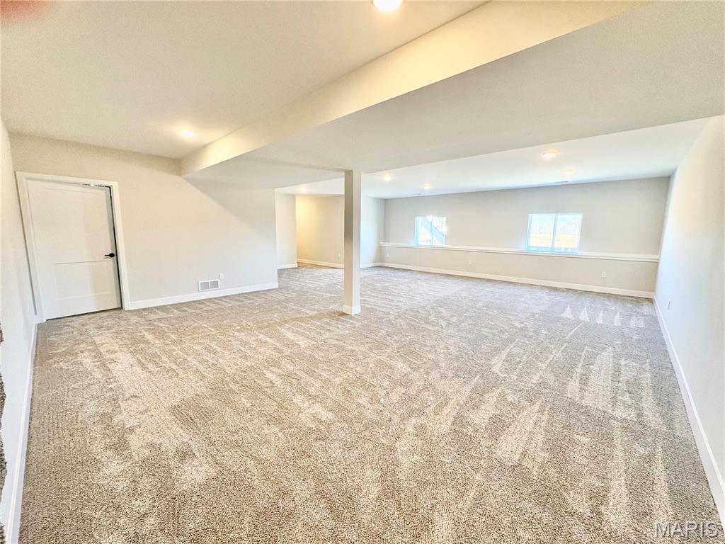 1438 Montauk Road Troy, IL 62294 - Photo 51 of 98