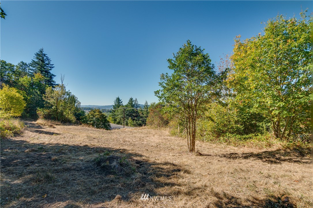 245 Risley Road, Unit 3 Kelso, WA 98626 - Photo 13 of 25 Gallery Image 13