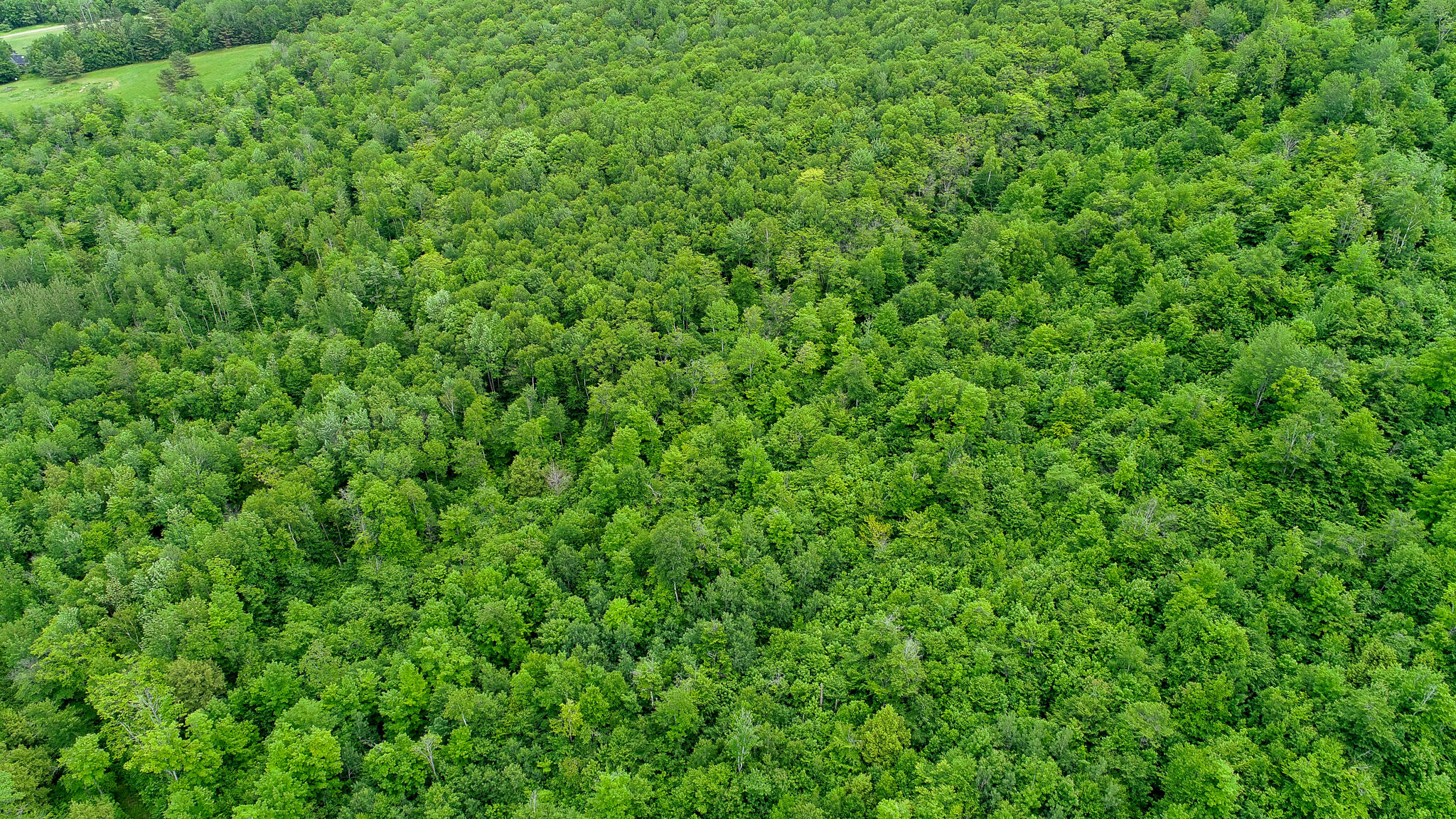 402 Map Road Roxbury, ME 04275 - Photo 4 of 4 DJI_0162