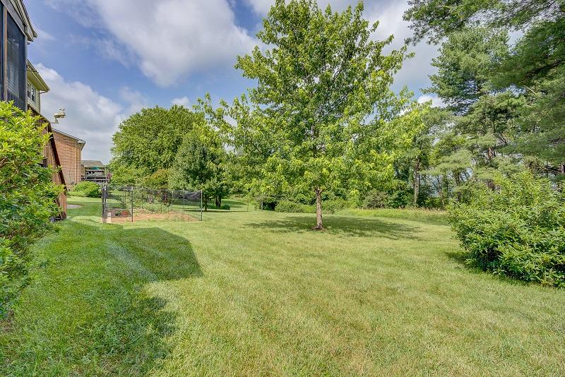 627 Olney Road Vinton, VA 24179 - Photo 37 of 43 a view of a field with trees