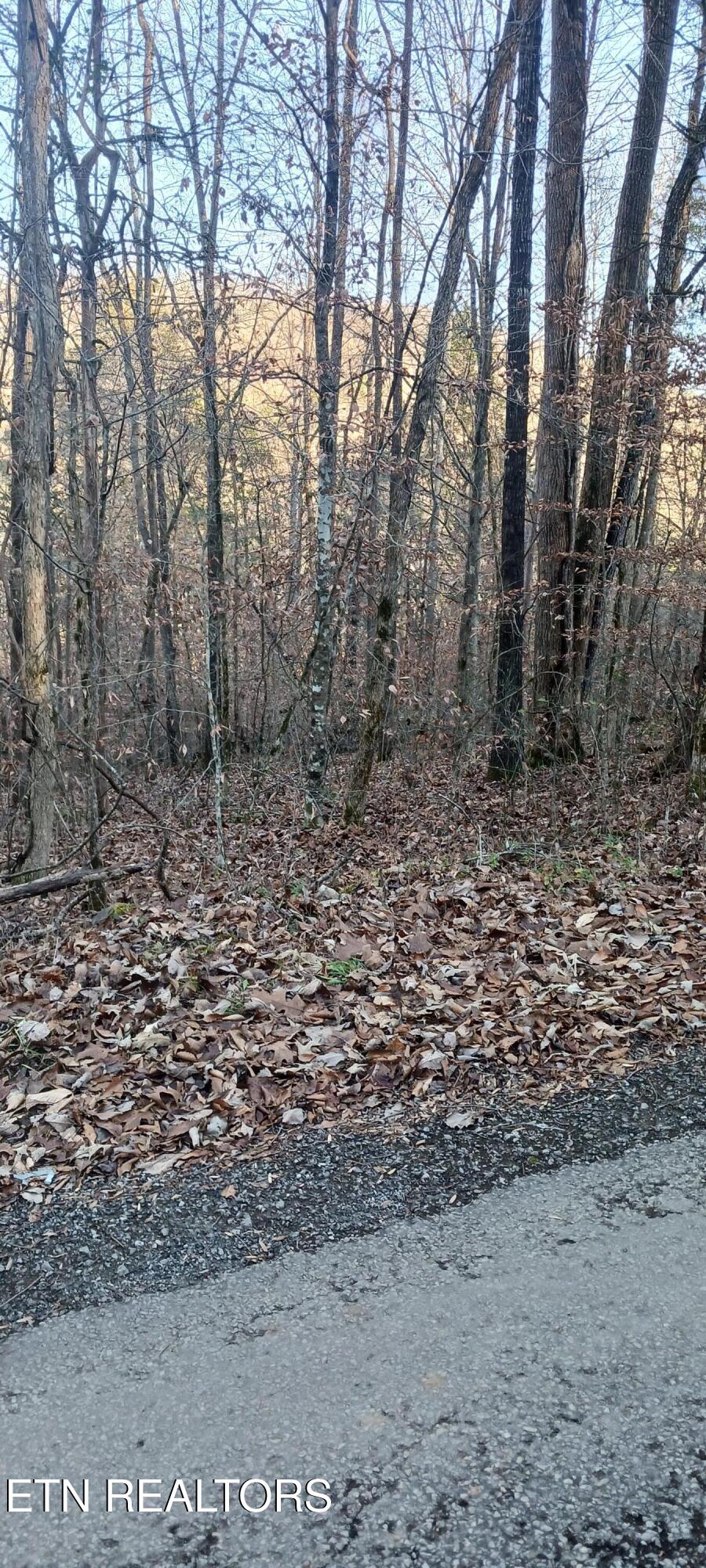 Braden Chapel Road Speedwell, TN 37870 - Photo 5 of 6 20251213_154240