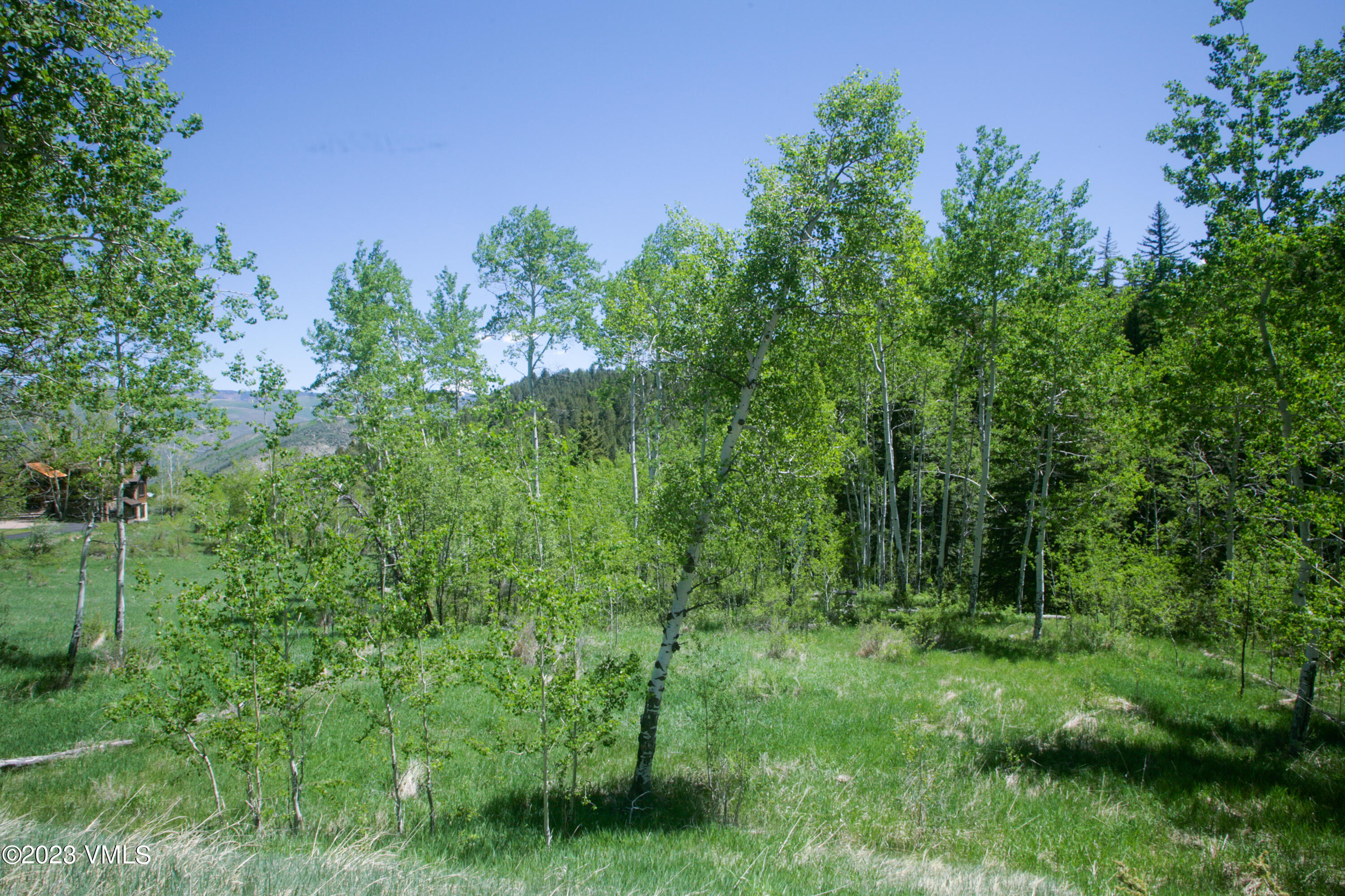 922 Red Draw Edwards, CO 81632 - Photo 2 of 14 a view of a lush green space