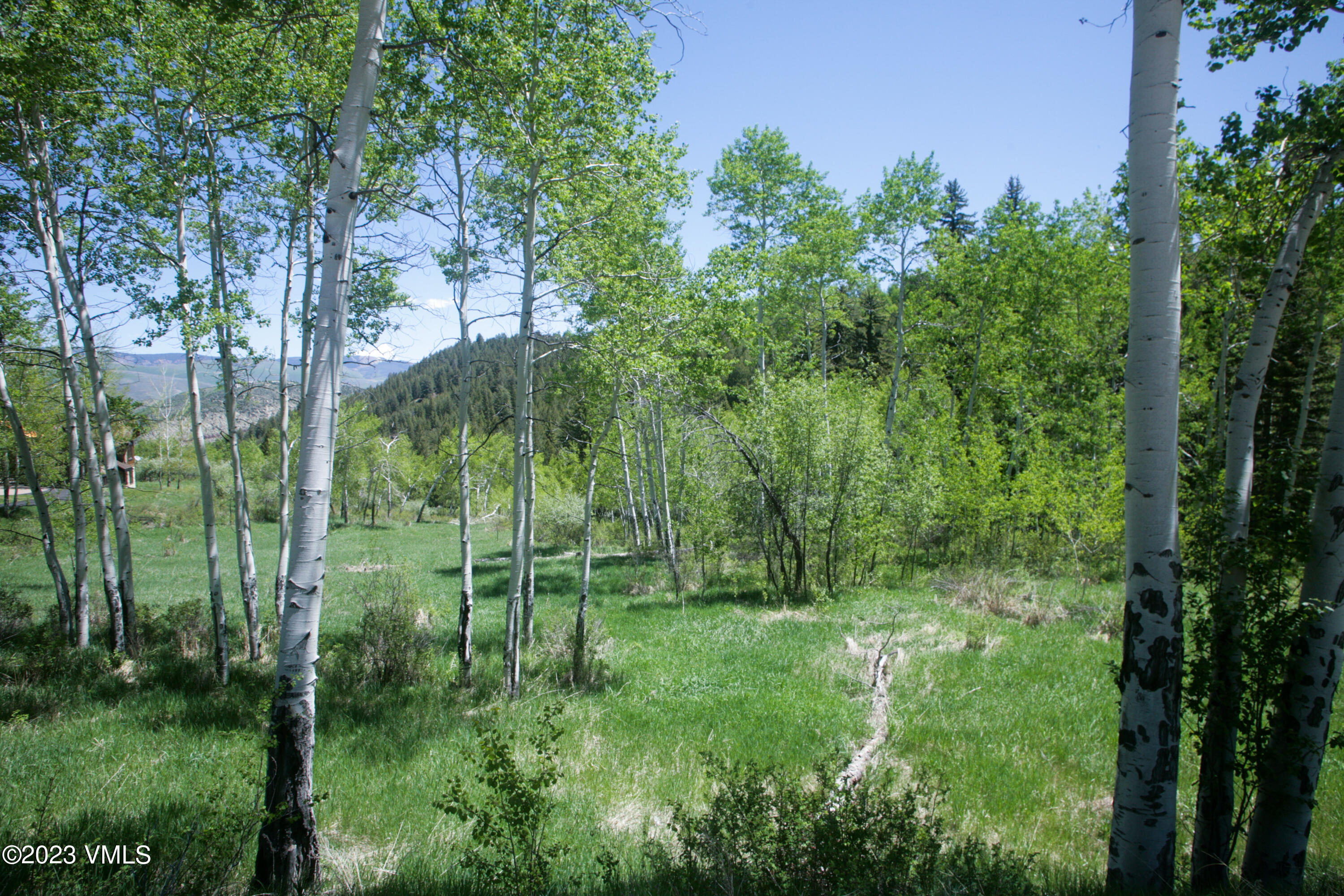 922 Red Draw Edwards, CO 81632 - Photo 3 of 14 a view of outdoor space and yard