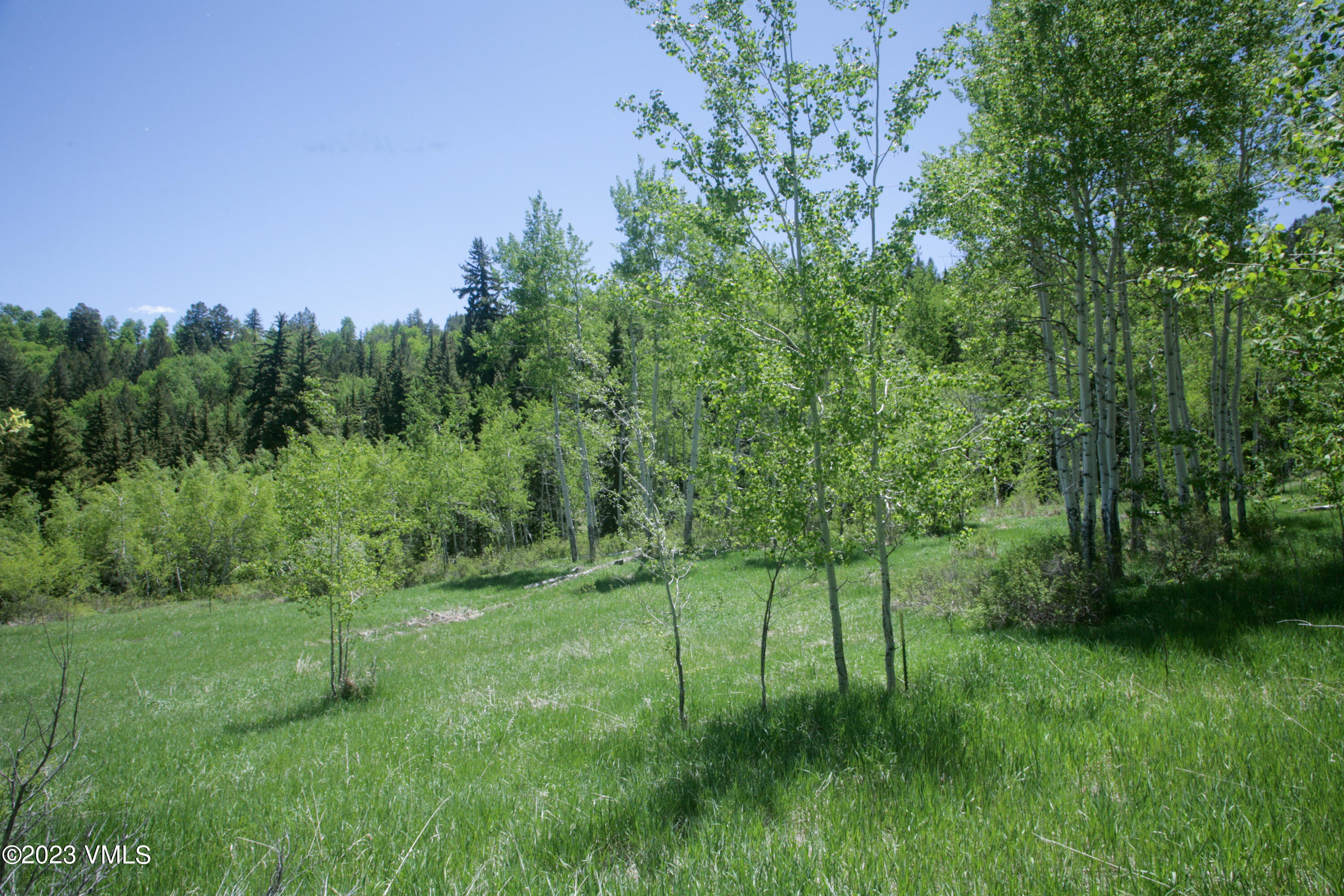 922 Red Draw Edwards, CO 81632 - Photo 4 of 14 a view of a lush green space