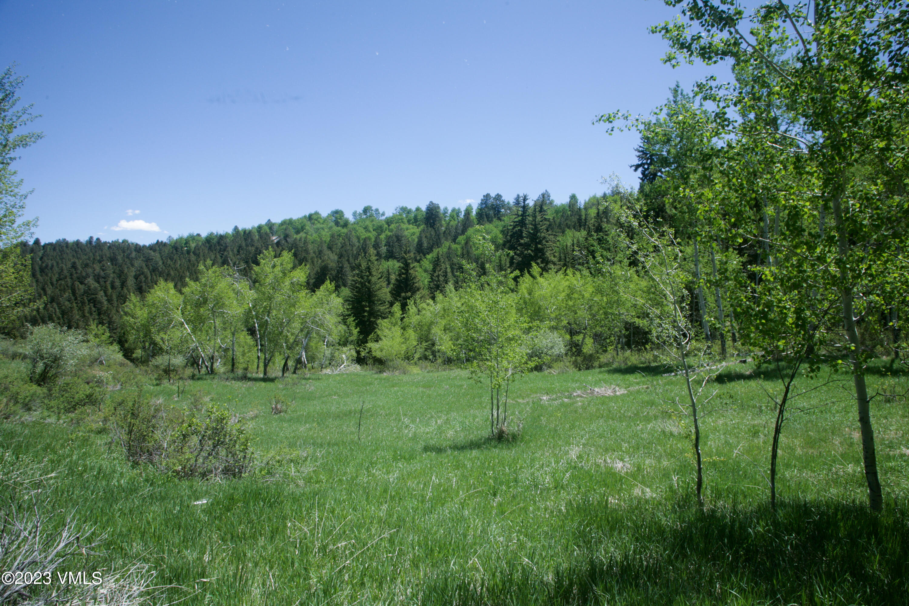 922 Red Draw Edwards, CO 81632 - Photo 6 of 14 a view of a grassy field with trees