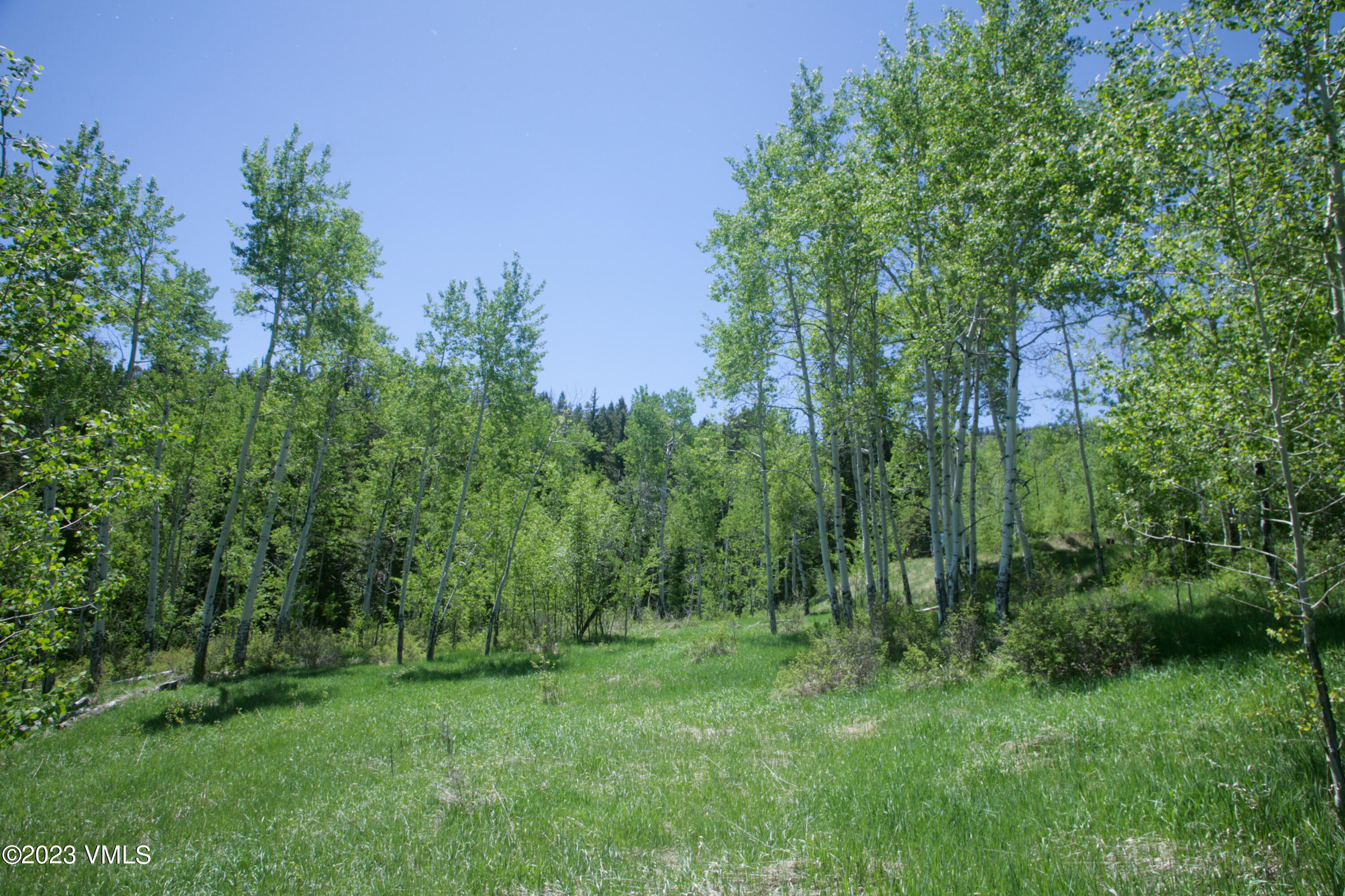 922 Red Draw Edwards, CO 81632 - Photo 7 of 14 a view of a lush green space