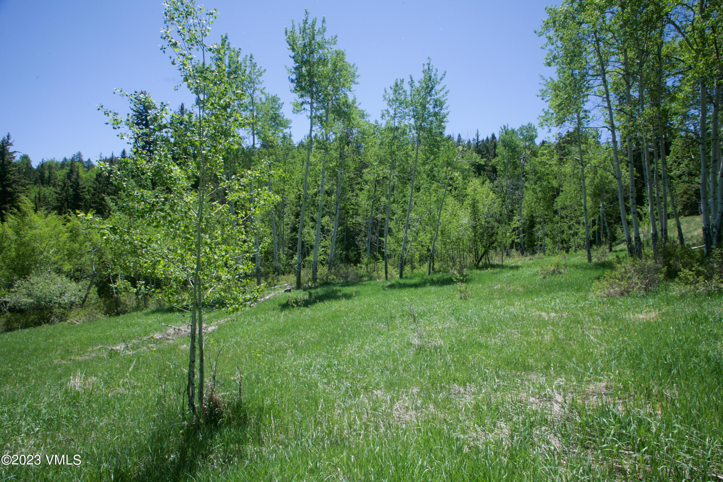 922 Red Draw Edwards, CO 81632 - Photo 8 of 14 a view of a lush green space