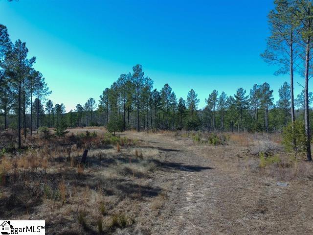 0 Fields Road Pauline, SC 29374 - Photo 3 of 7