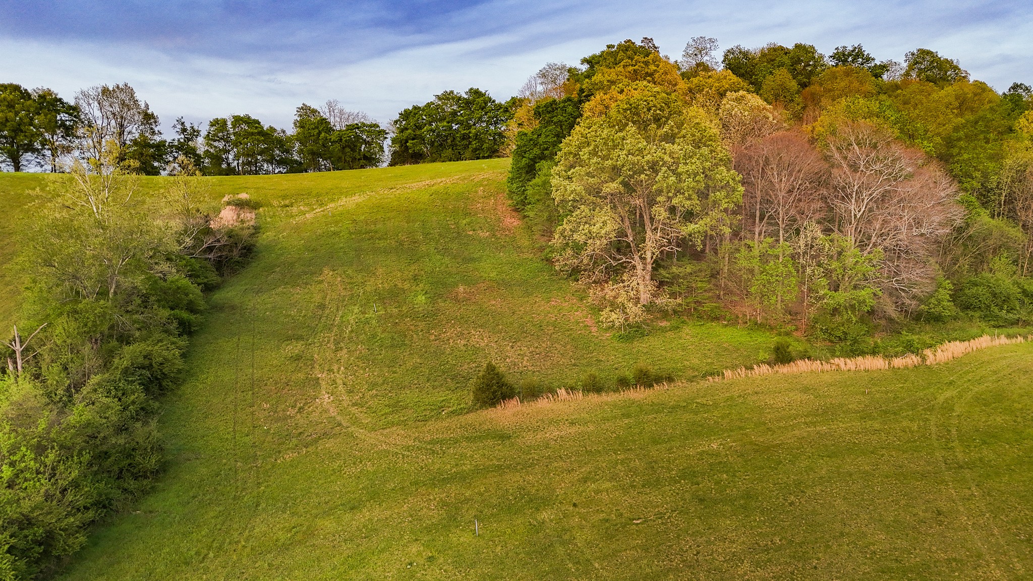 53 Pleasant Hill Road Lynchburg, TN 37352 - Photo 3 of 4
