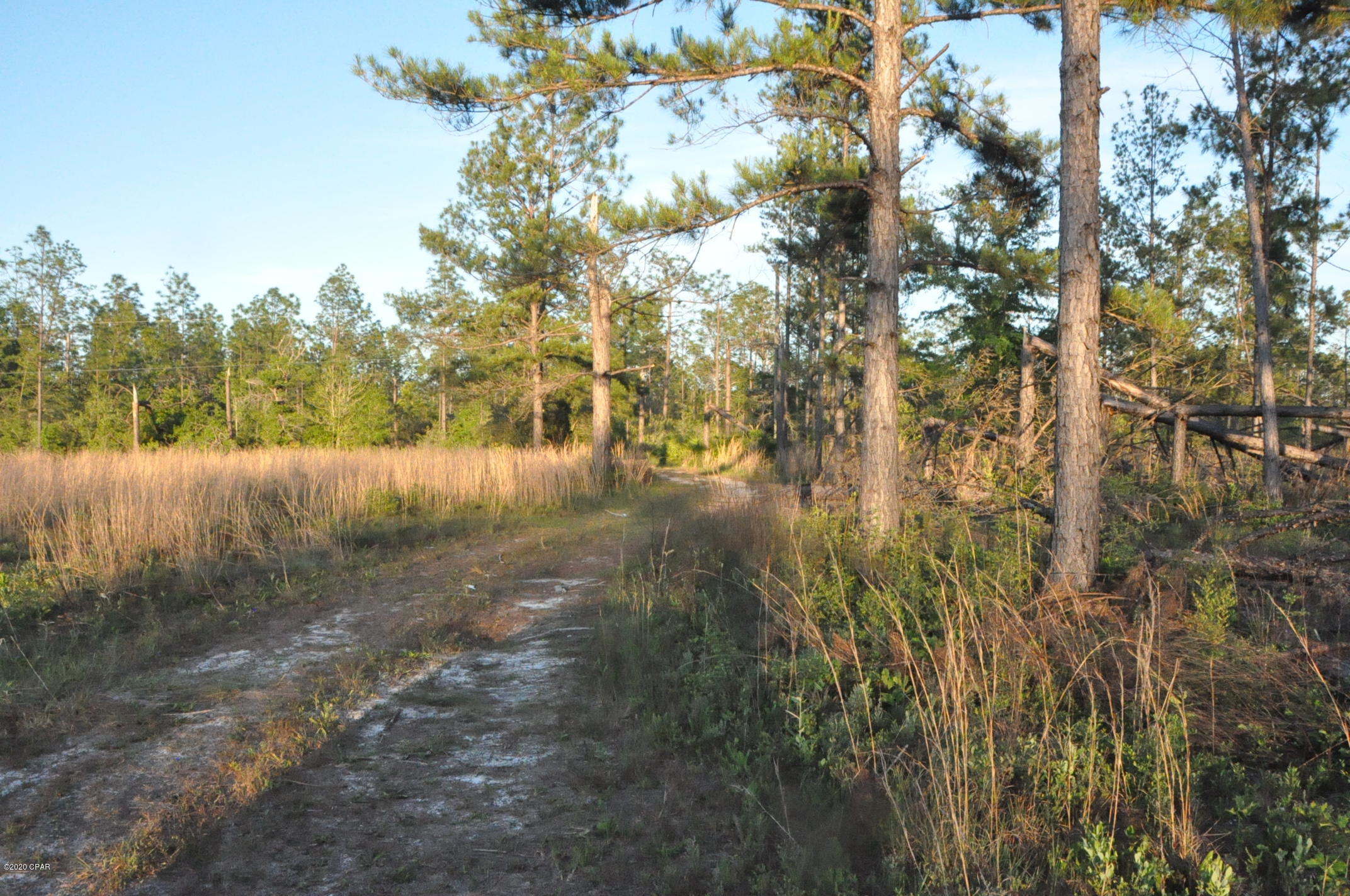 16533 Roll O Home Road Fountain, FL 32438 - Photo 8 of 37 Gallery Image 8