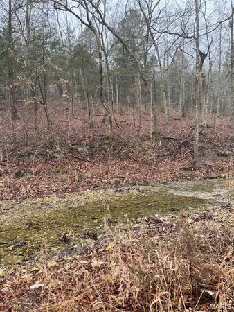 $49,900 | 10131 State Rd Bb, Hillsboro, MO 63050