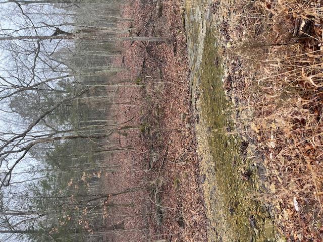 10131 State Rd Bb Hillsboro, MO 63050 - Photo 1 of 6