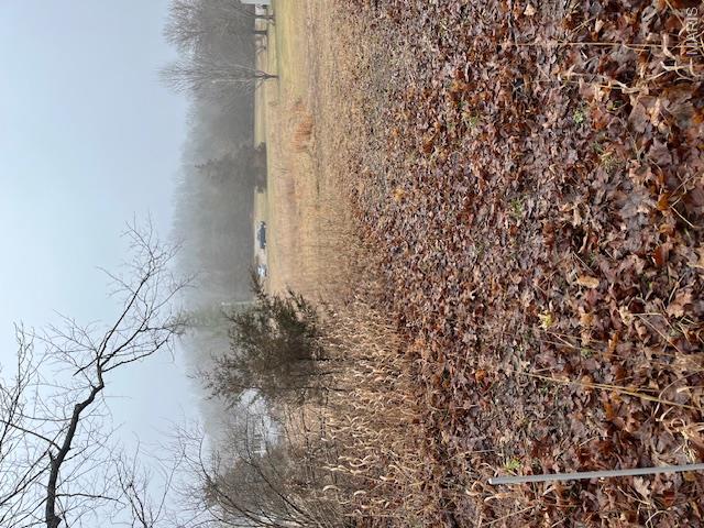 10131 State Rd Bb Hillsboro, MO 63050 - Photo 2 of 6