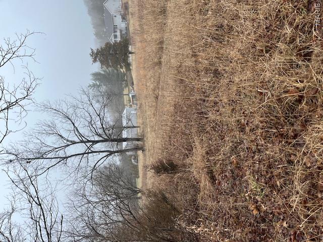 10131 State Rd Bb Hillsboro, MO 63050 - Photo 3 of 6