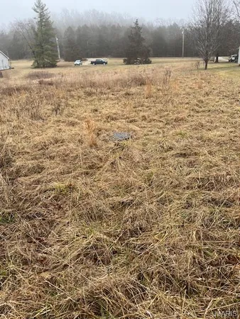 $49,900 | 10131 State Rd Bb, Hillsboro, MO 63050