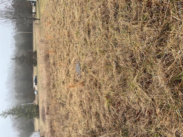 10131 State Rd Bb Hillsboro, MO 63050 - Photo 4 of 6