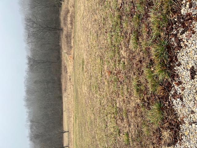 10131 State Rd Bb Hillsboro, MO 63050 - Photo 5 of 6