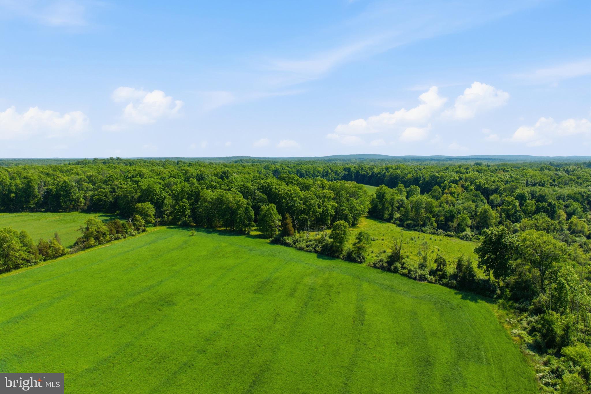 1540 Roundhouse Road Quakertown, PA 18951 - Photo 7 of 20 Lush green fields meet serene skies.